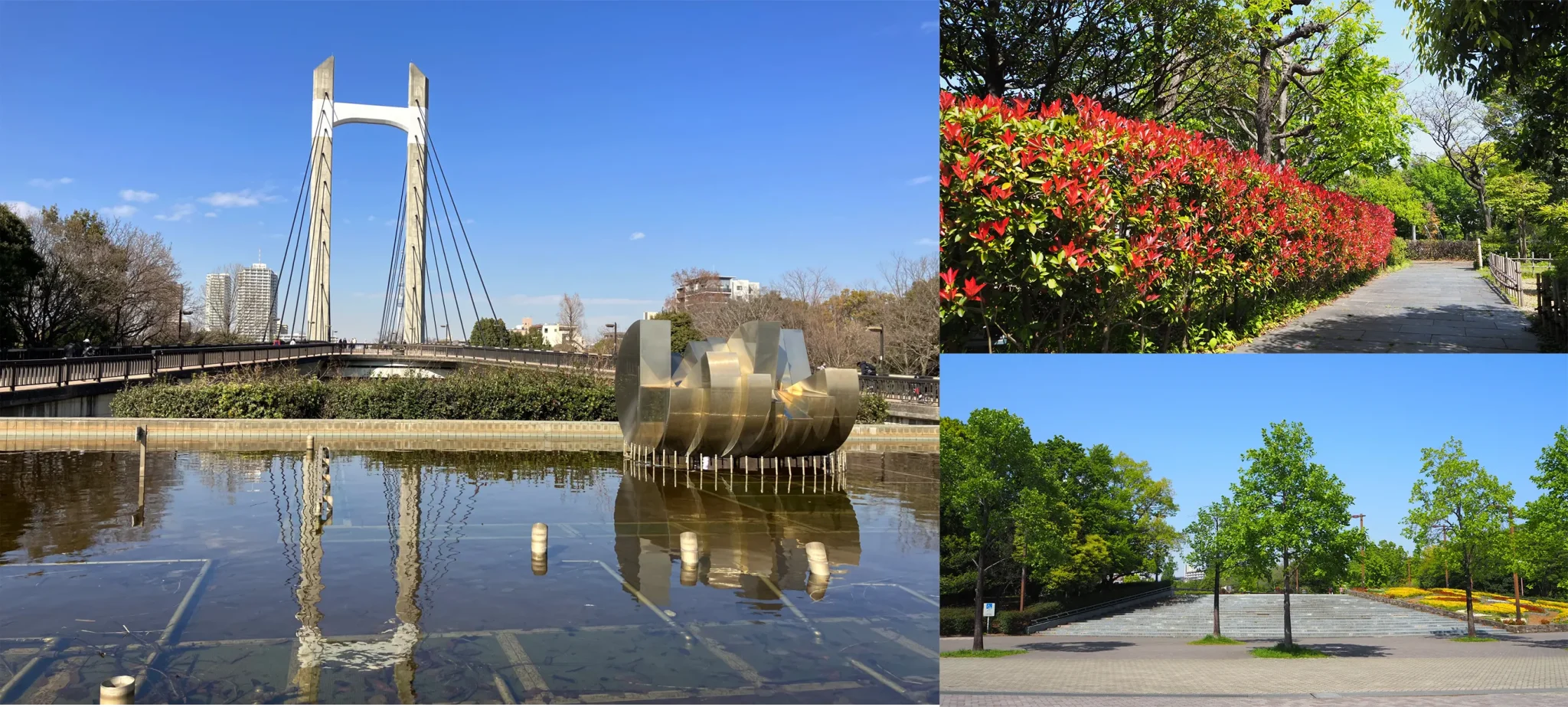 木場公園