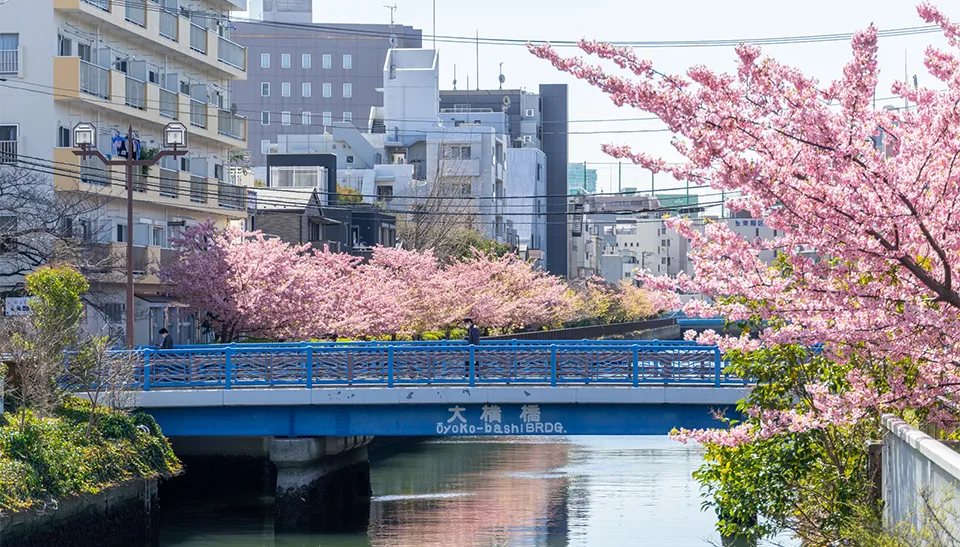 大横橋