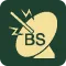 BS